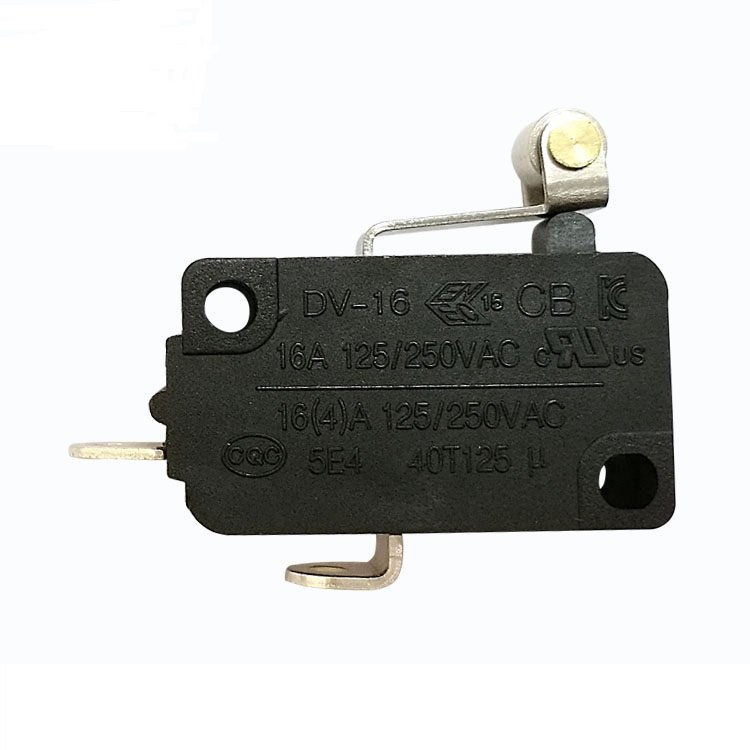 DV Roll-Type Microswitch